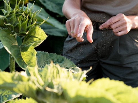 Достављање решења о утврђеним обавезама пољопривредника за 2026. годину