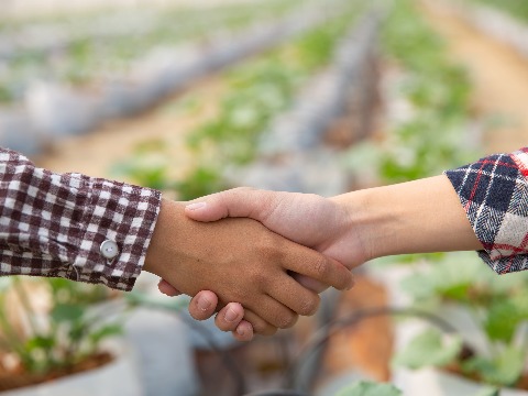 Personal Salary Payment Notification