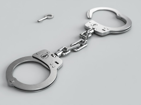 Ухапшен власник привредног субјекта из Пријепоља због утаје 25,4 милиона динара пореза